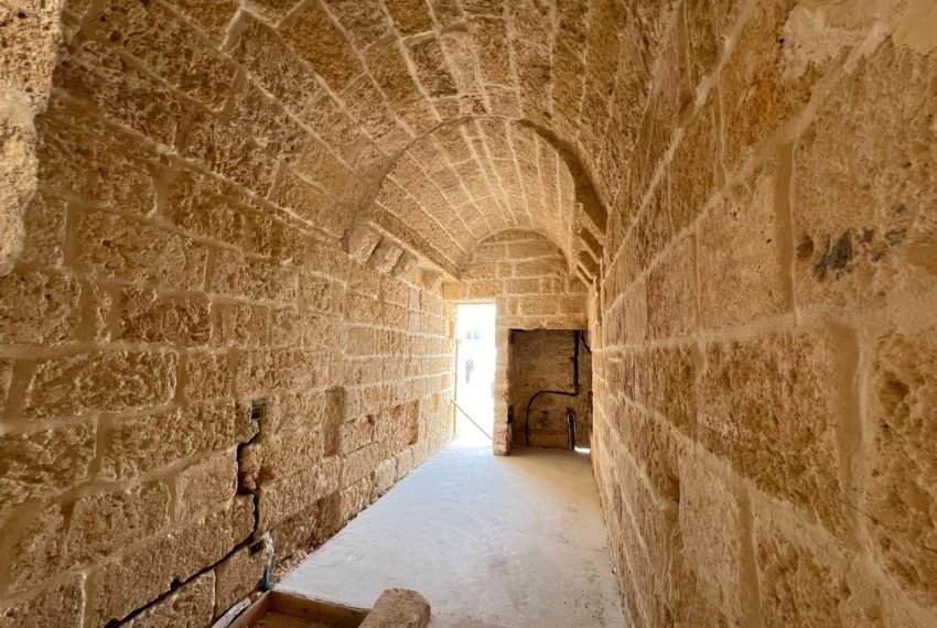 8873c42e-0109-4b32-82f9-f264286909b5